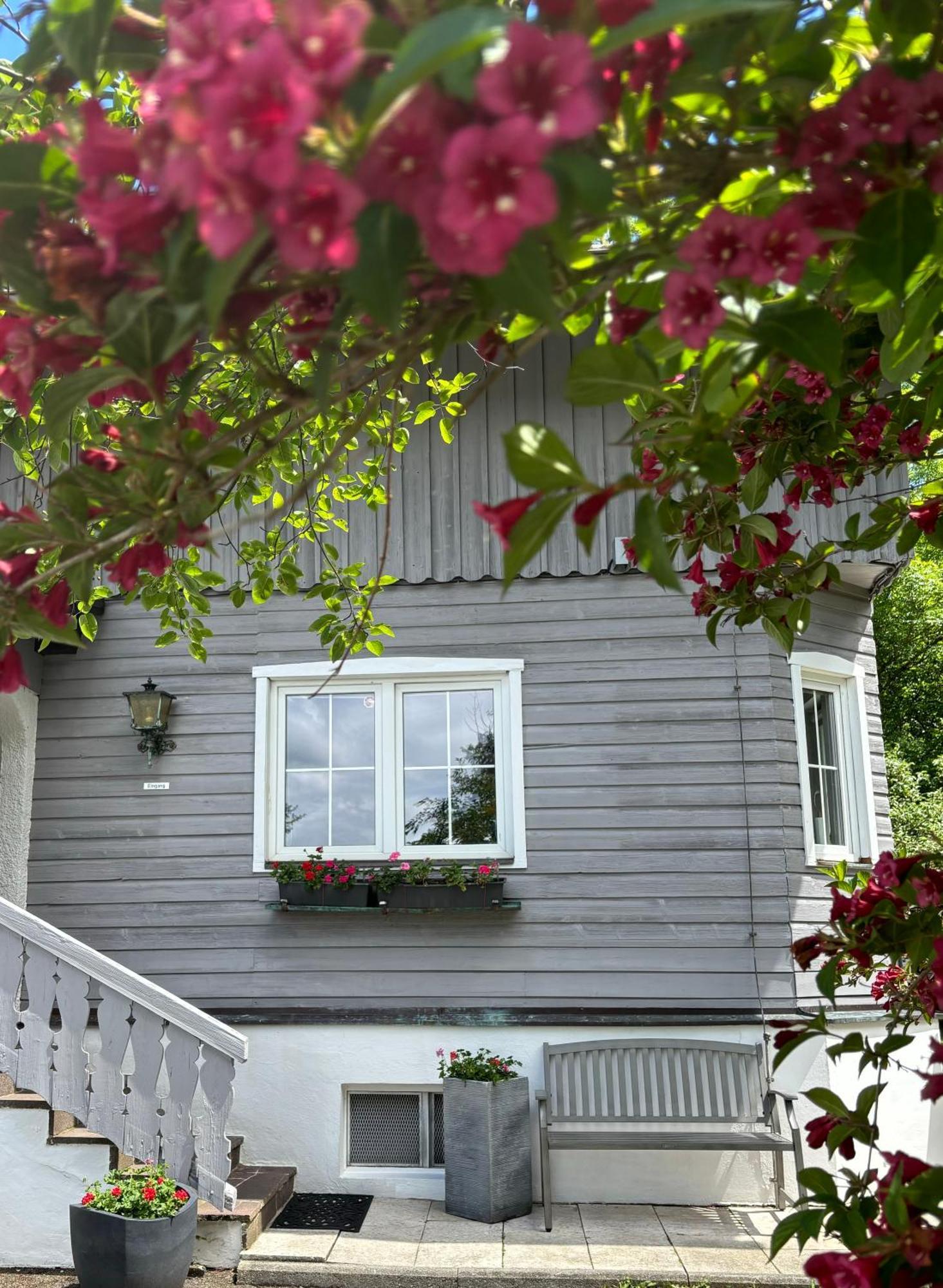Haus Sonnenblick- Apartments Starnberg Buitenkant foto